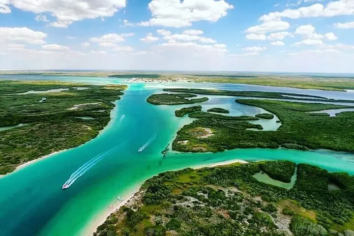 Rio Lagartos and Las Coloradas Day Tour from Cancun