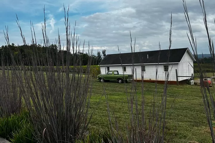 Virginia Wineries Tour