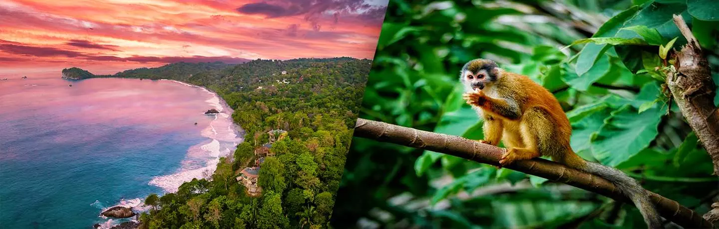 ✈ COSTA RICA | San José - L'Essenza del Costa Rica 4*, 9 notti - Vi...