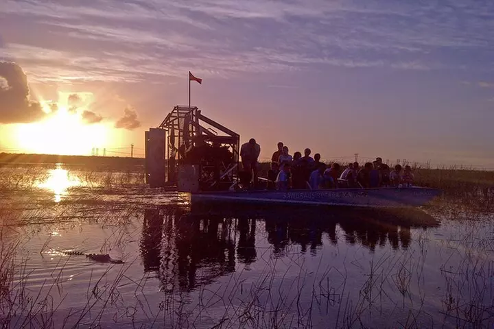 From Miami: Everglades at Night with Airboat and Alligators Tour
