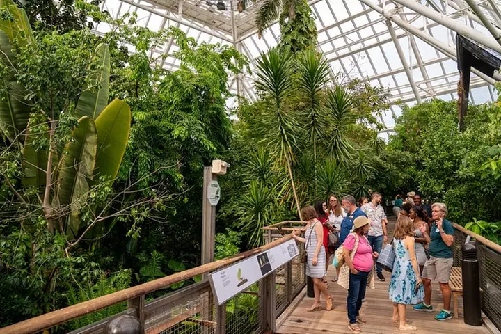 Moody Gardens General Admission - Aquarium & Rainforest