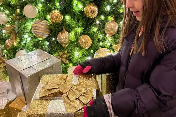 Washington, DC: National Christmas Tree & Holiday Lights Bus Tour