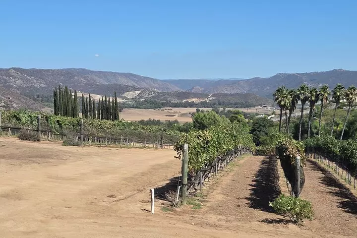 San Diego County Wine Tour (Private)