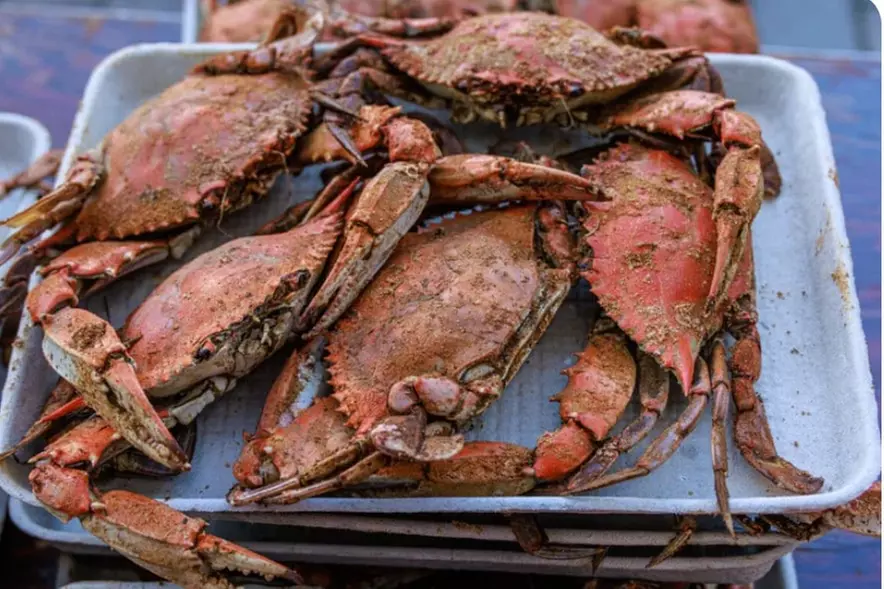 $50 For $100 Toward Blue Crabs
