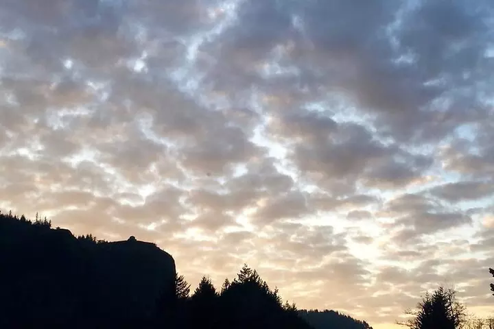 Columbia Valley and Columbia Gorge Wine Tasting