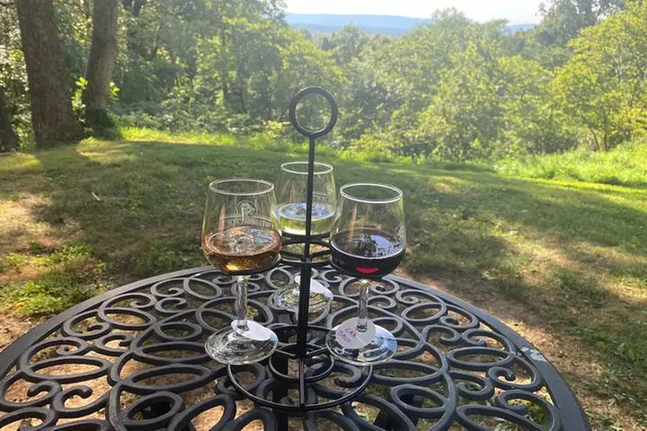 Virginia Wineries Tour