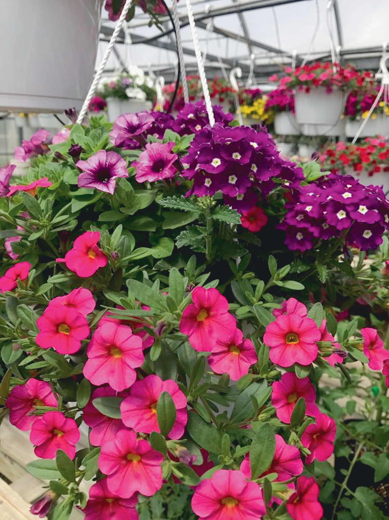 $20 For $40 Worth Of Goods & Services