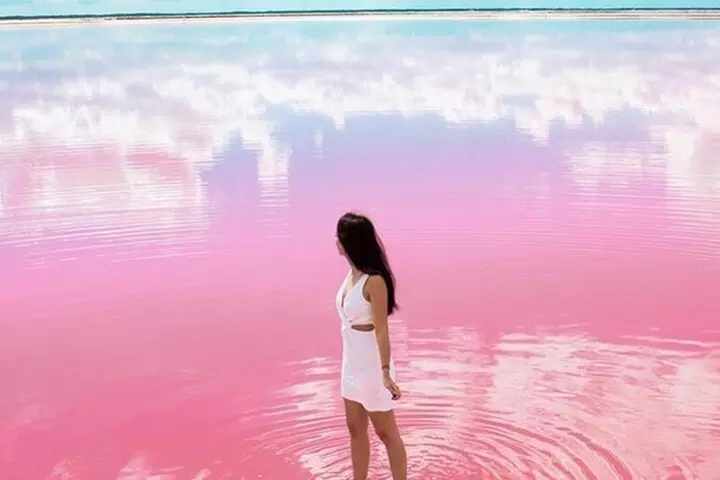 Rio Lagartos and Las Coloradas Day Tour from Cancun