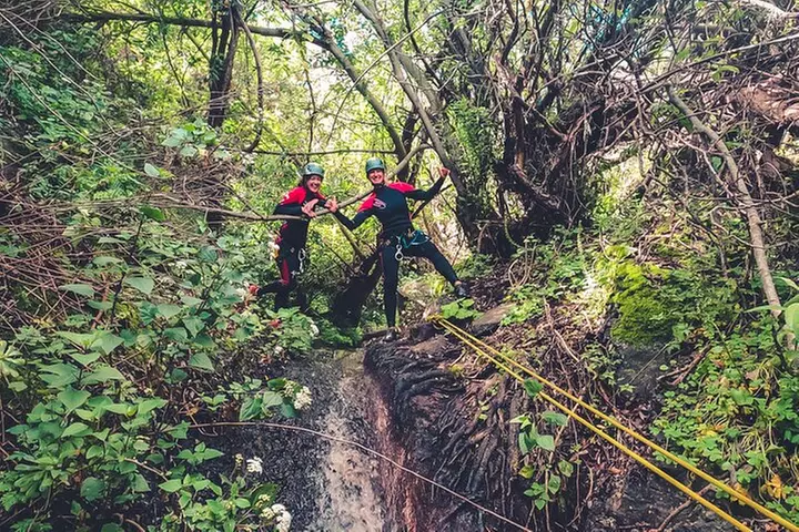 Barranquismo en el Bosque de Laurisilva ツ