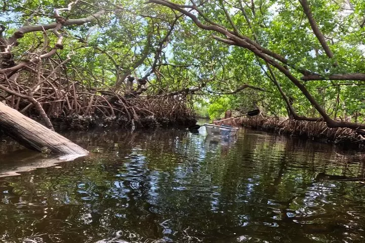 2 Hour Clear Kayak Tour at Emerson Point Preserve