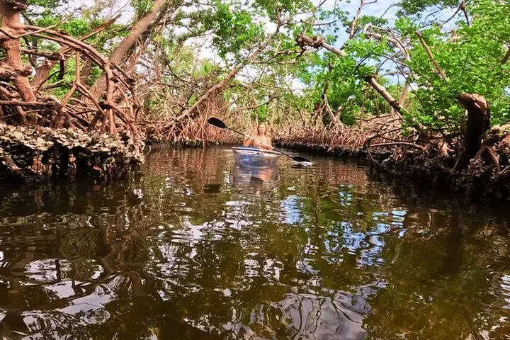 2 Hour Clear Kayak Tour at Emerson Point Preserve