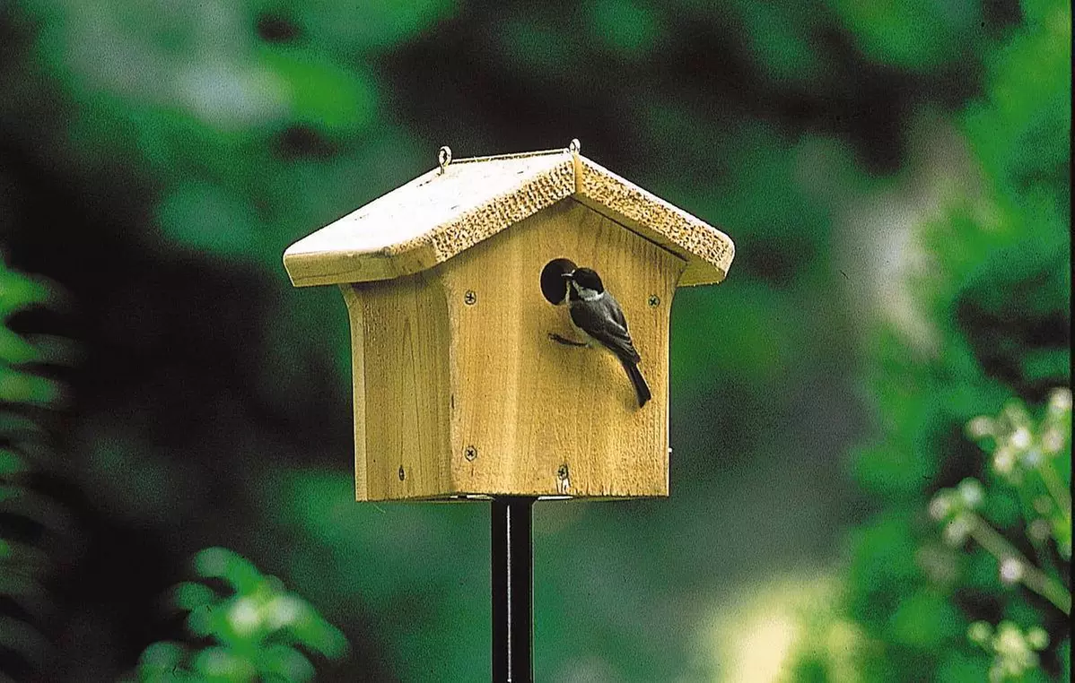 $20 For $40 Worth Of Wild Birds Unlimited Store Items
