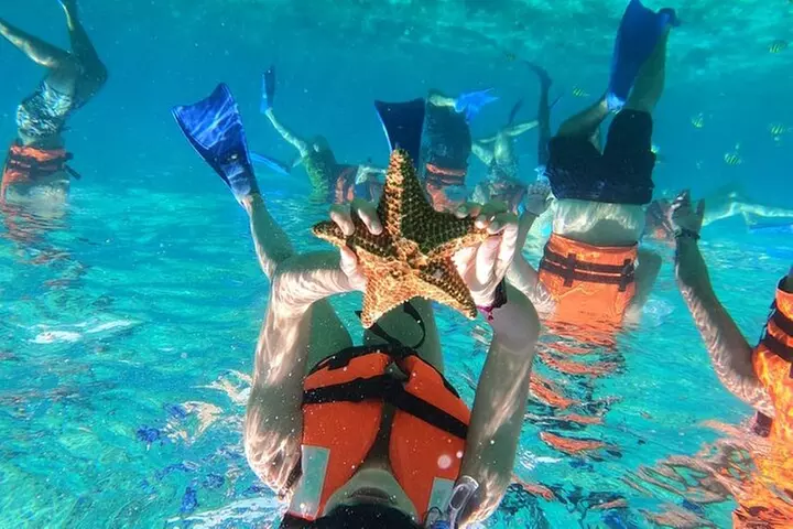 Sail and Snorkel to Isla Mujeres lunch and Drinks.