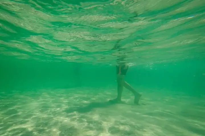 Miami Biscayne Bay Boat Tour with Sandbar Experience.