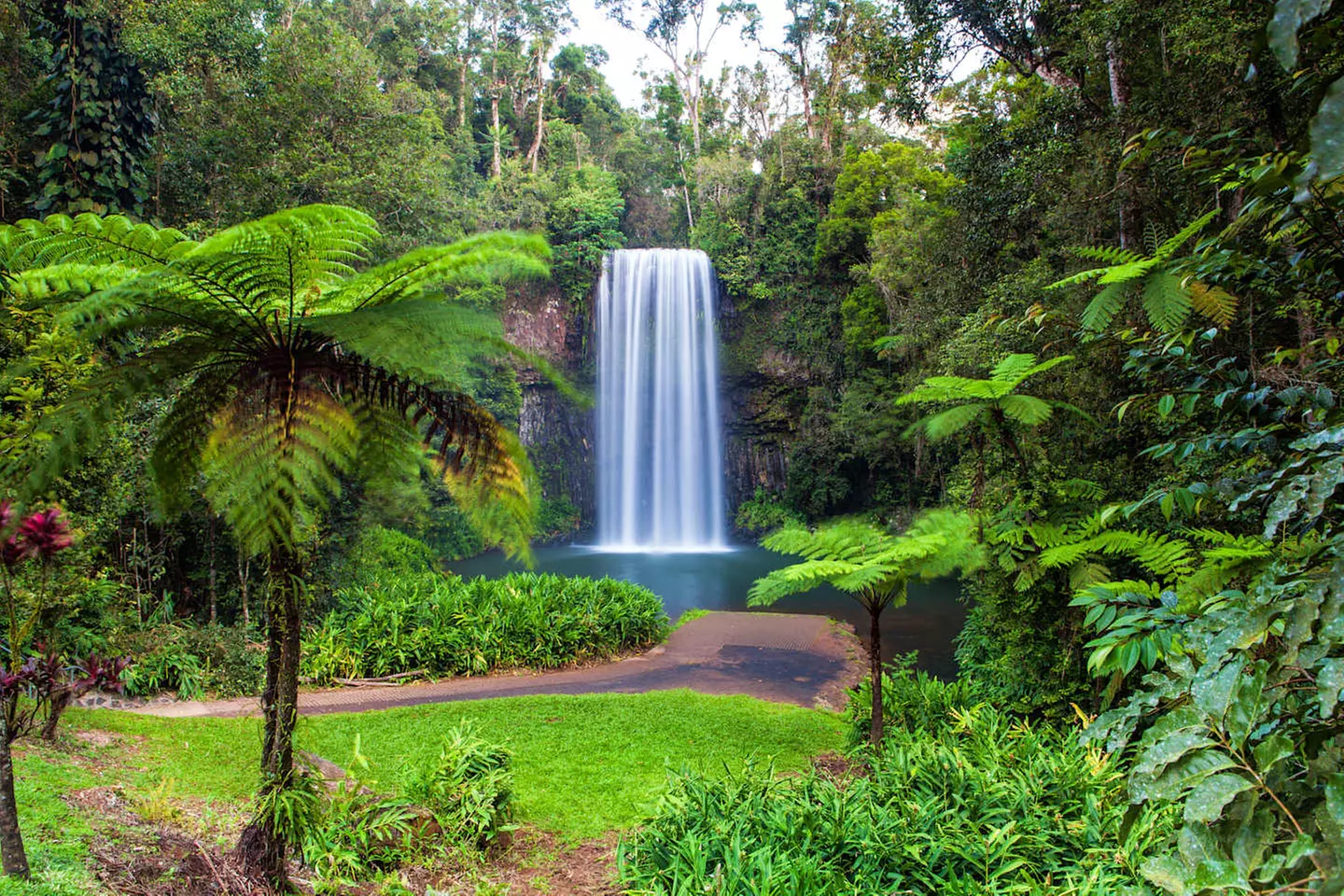 ✈ SINGAPORE E AUSTRALIA | Da Singapore a Cairns - Singapore e Austr...