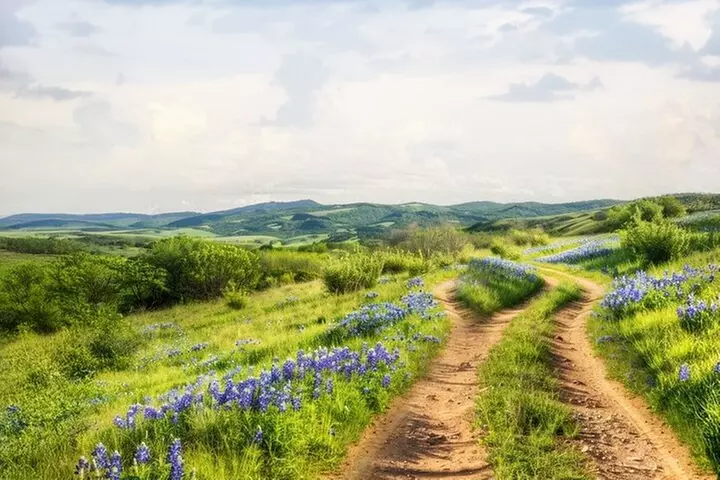 Fredericksburg Luxury Shopping and History and Culture Tour