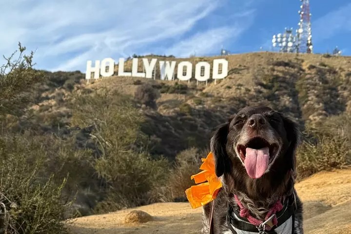 Private Hollywood Sign Hiking Tour with Select Hotel Pickup