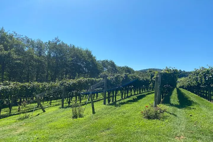 Virginia Wineries Tour