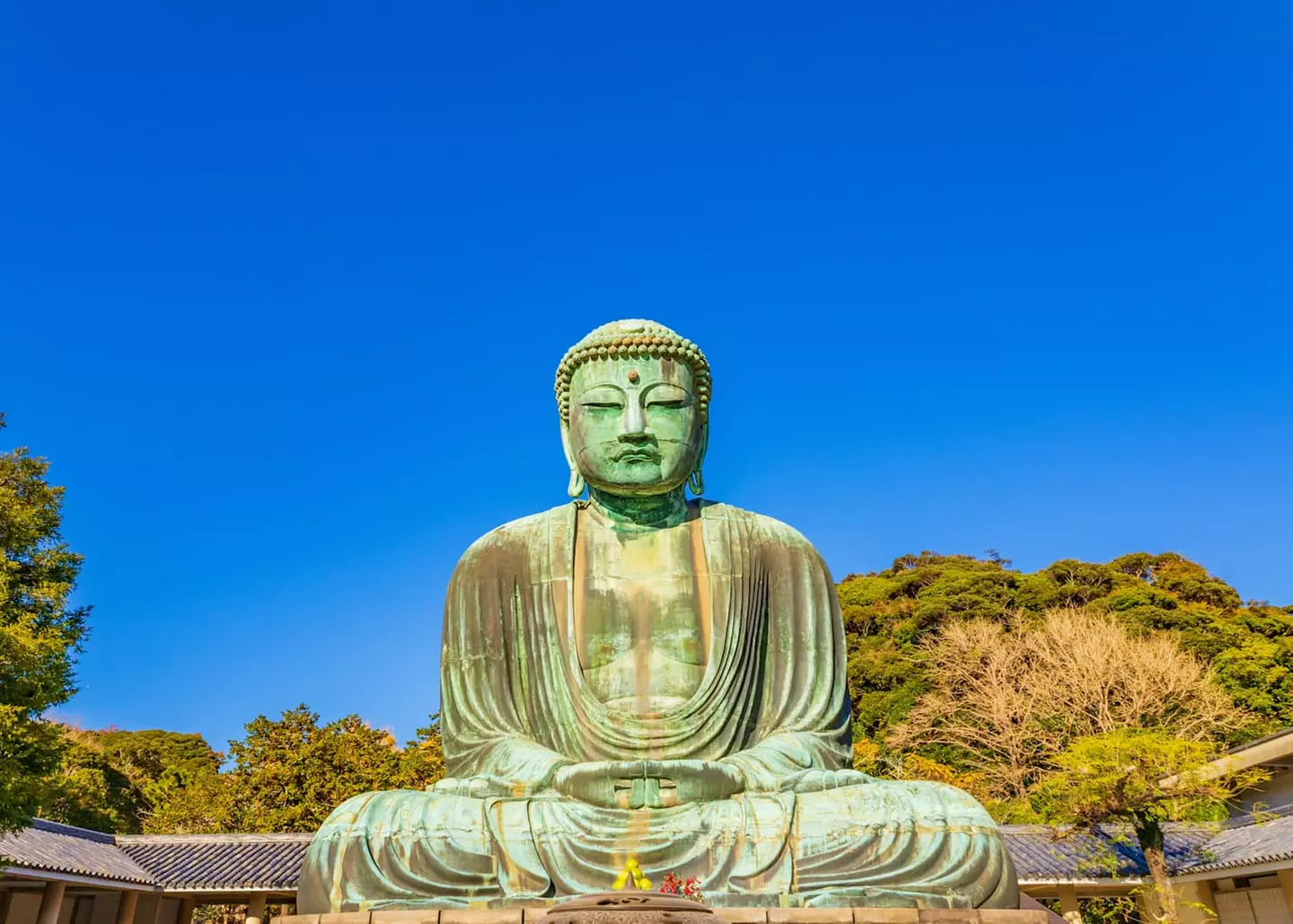 ✈ GIAPPONE | Da Osaka a Tokyo - L'odissea giapponese: grande viaggi...