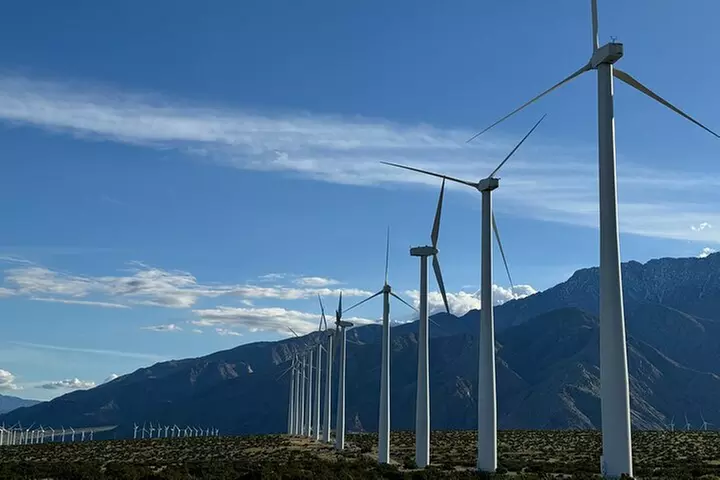 Palm Springs Windmill Guided Tour by Golf Cart