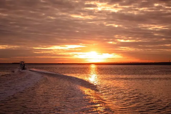 Dolphin Discovery Sunset Cruise