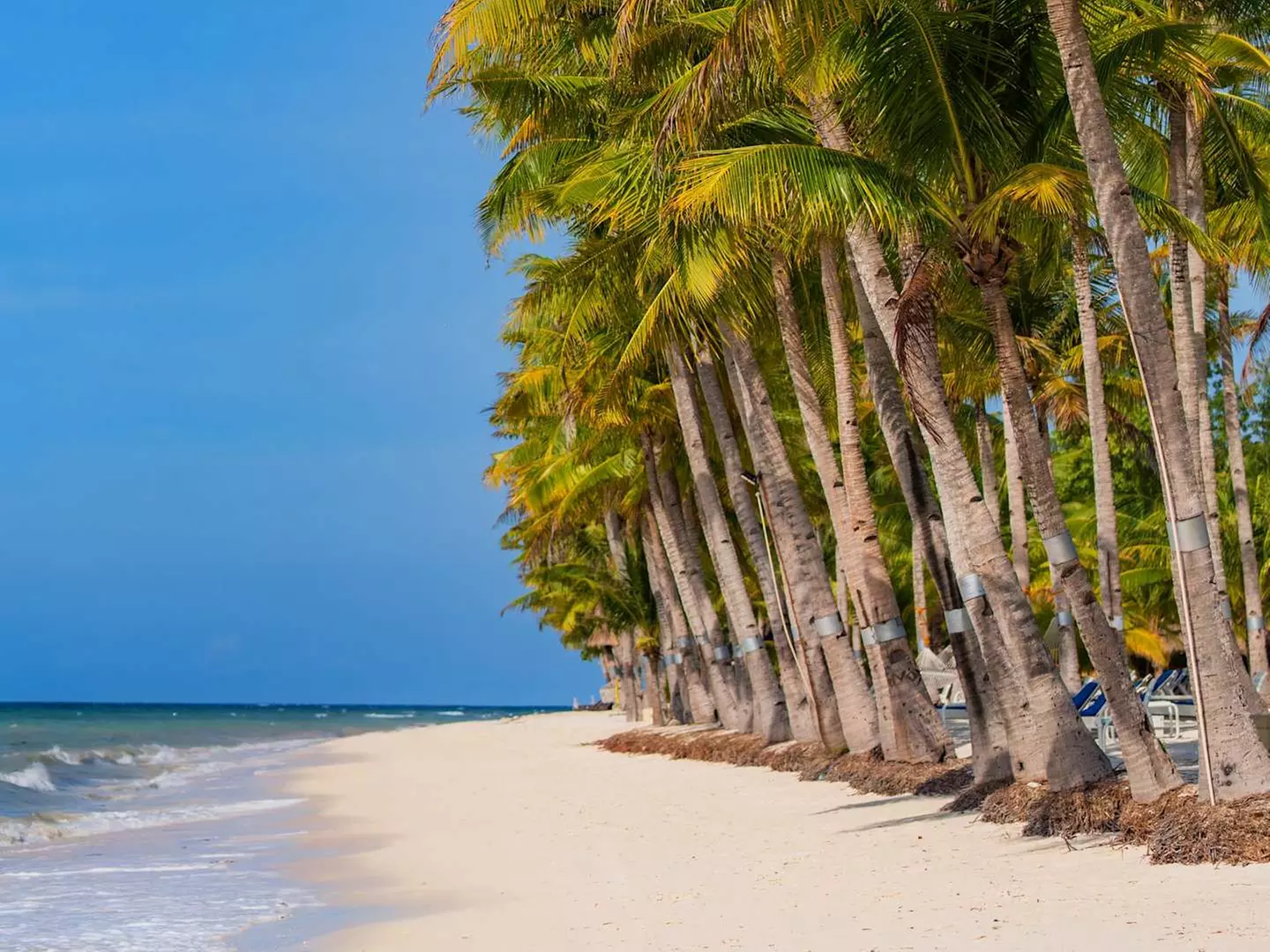 ✈ PHILIPPINES | Cebu - Cebu - Panglao Combined trip 3*, 7 nights - ...