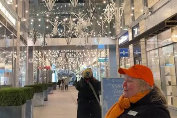 Washington, DC: National Christmas Tree & Holiday Lights Bus Tour