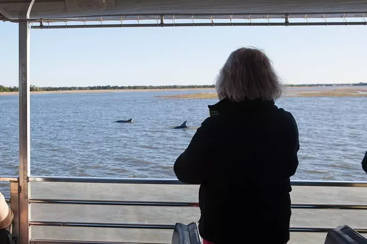 Capers Island Wildlife Exploration