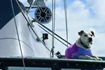 Oahu Catamaran Waikiki Sunset on 40 Foot Catamaran: Food and BYOB