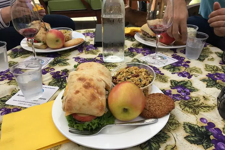 Sonoma Private 6-Hour Wine Adventure