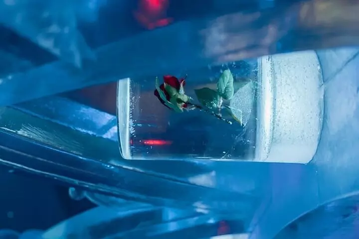 Chena Hot Spring Day Tour