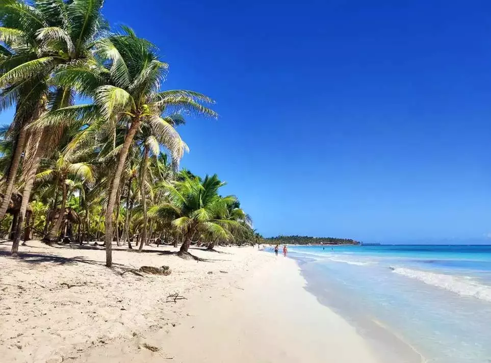 ✈ MESSICO | Playa del Carmen - Ocean Maya Royale Hôtel Adult Only 5...