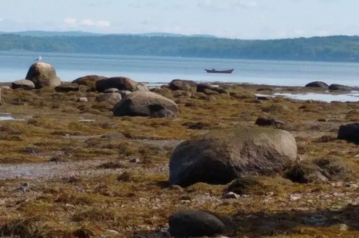 Acadia Mainland Coast Private Driving Tour