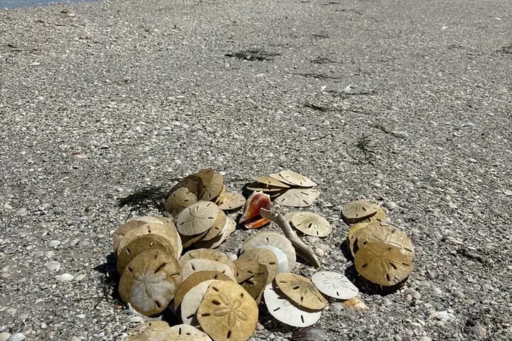 Island Hopping and Snorkeling Trip