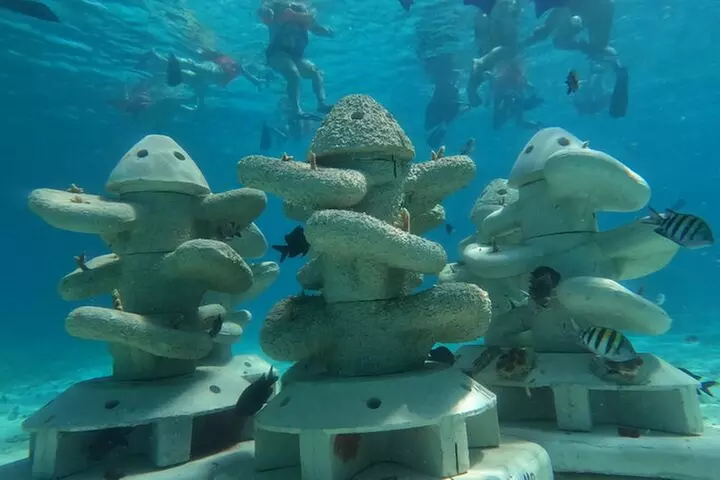 Sail and Snorkel to Isla Mujeres lunch and Drinks.