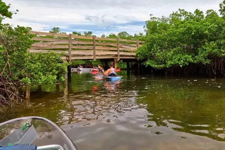 2-Hour Clear Kayak Mangrove Tunnel Eco Tour - Sarasota