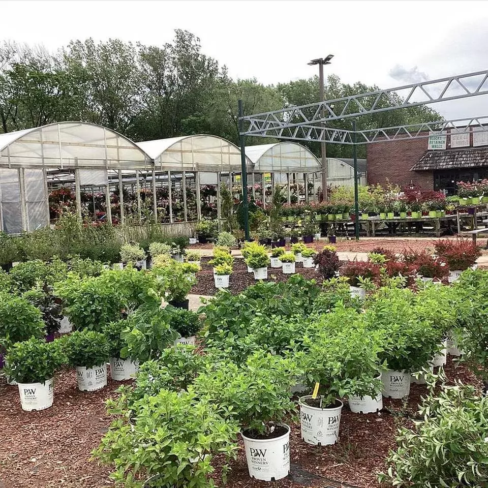 $25 For $50 Toward Any Purchase