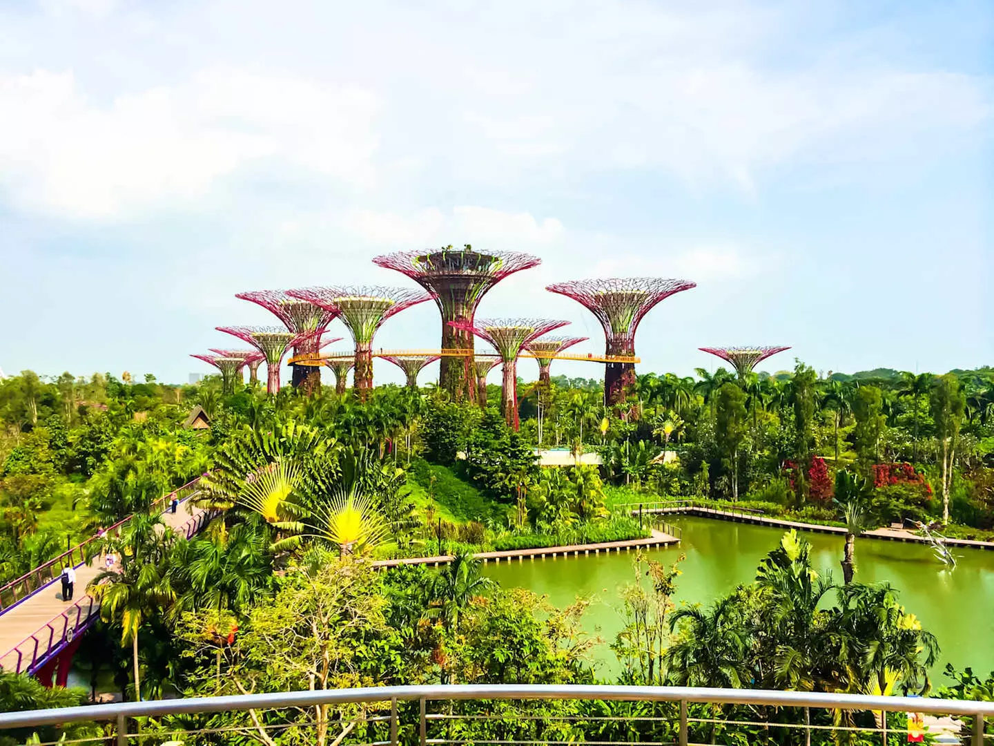 ✈ SINGAPORE E AUSTRALIA | Da Singapore a Cairns - Singapore e Austr...