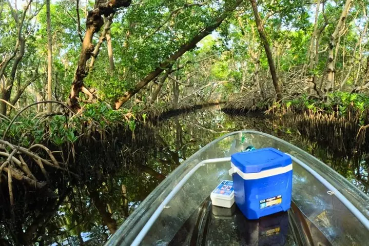 2-Hour Clear Kayak Mangrove Tunnel Eco Tour - Sarasota