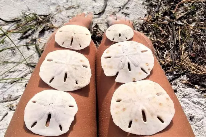 Island Hopping and Snorkeling Trip