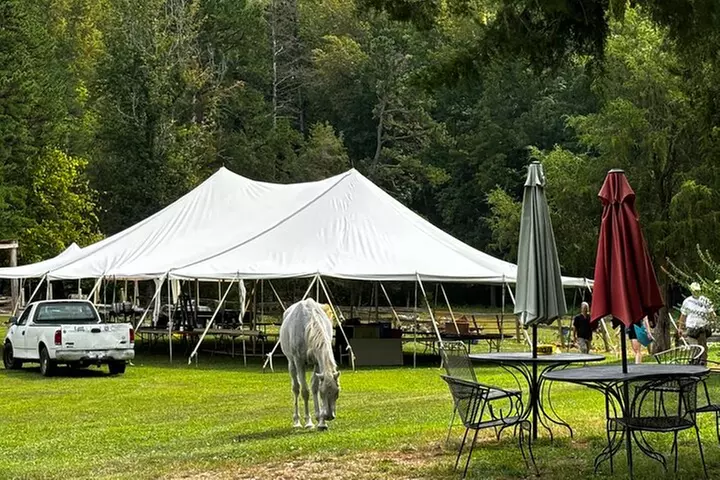 Virginia Wineries Tour