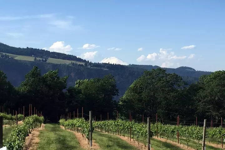 Columbia Valley and Columbia Gorge Wine Tasting