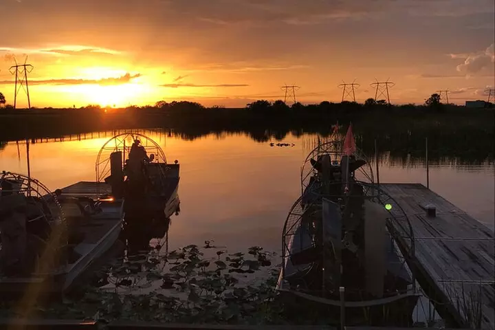 From Miami: Everglades at Night with Airboat and Alligators Tour