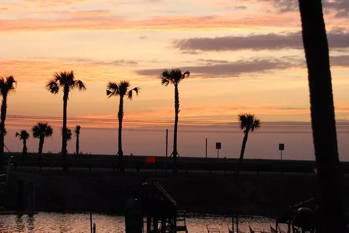 From Miami: Everglades at Night with Airboat and Alligators Tour