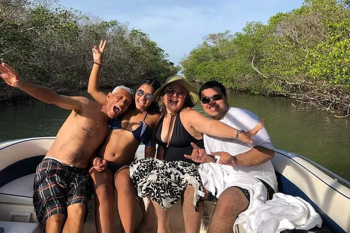 Private 2 hour Mangrove Ecotour