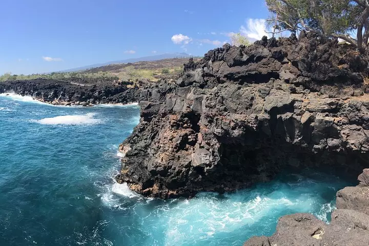 Private Charter Morning Snorkel and Wildlife Watch. Up to 18 Pax