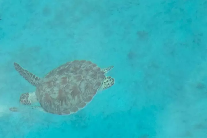 Boat Snorkeling and beach day to the Fajardo islands