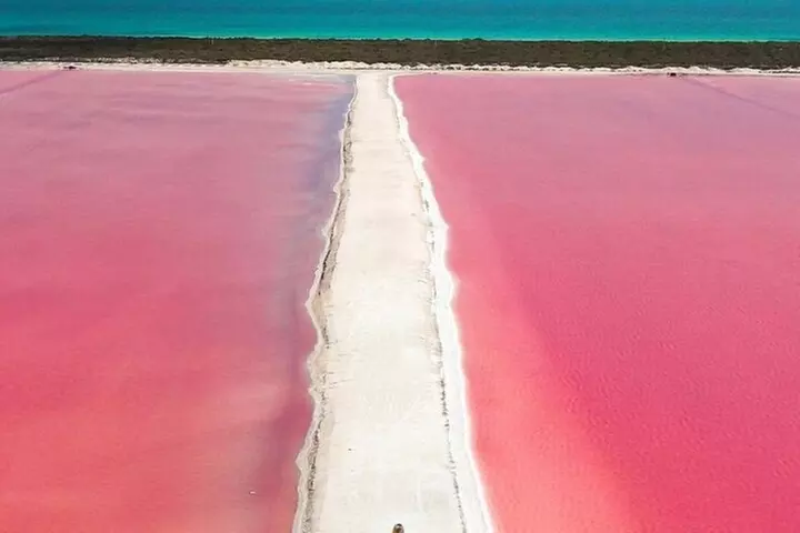 Rio Lagartos and Las Coloradas Day Tour from Cancun