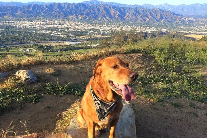 Private Hollywood Sign Hiking Tour with Select Hotel Pickup