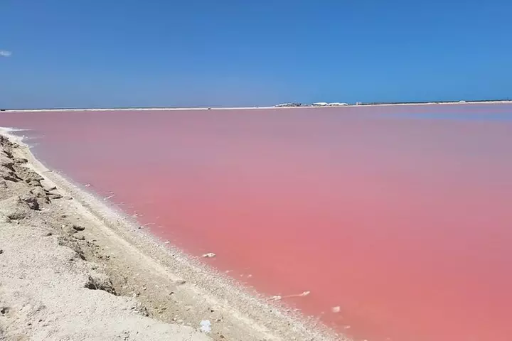 Rio Lagartos and Las Coloradas Day Tour from Cancun